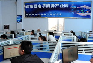 綏化市各地電子商務發(fā)展迅猛